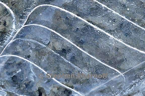 ice on stream 15 graphic